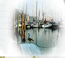 Dock jpg.